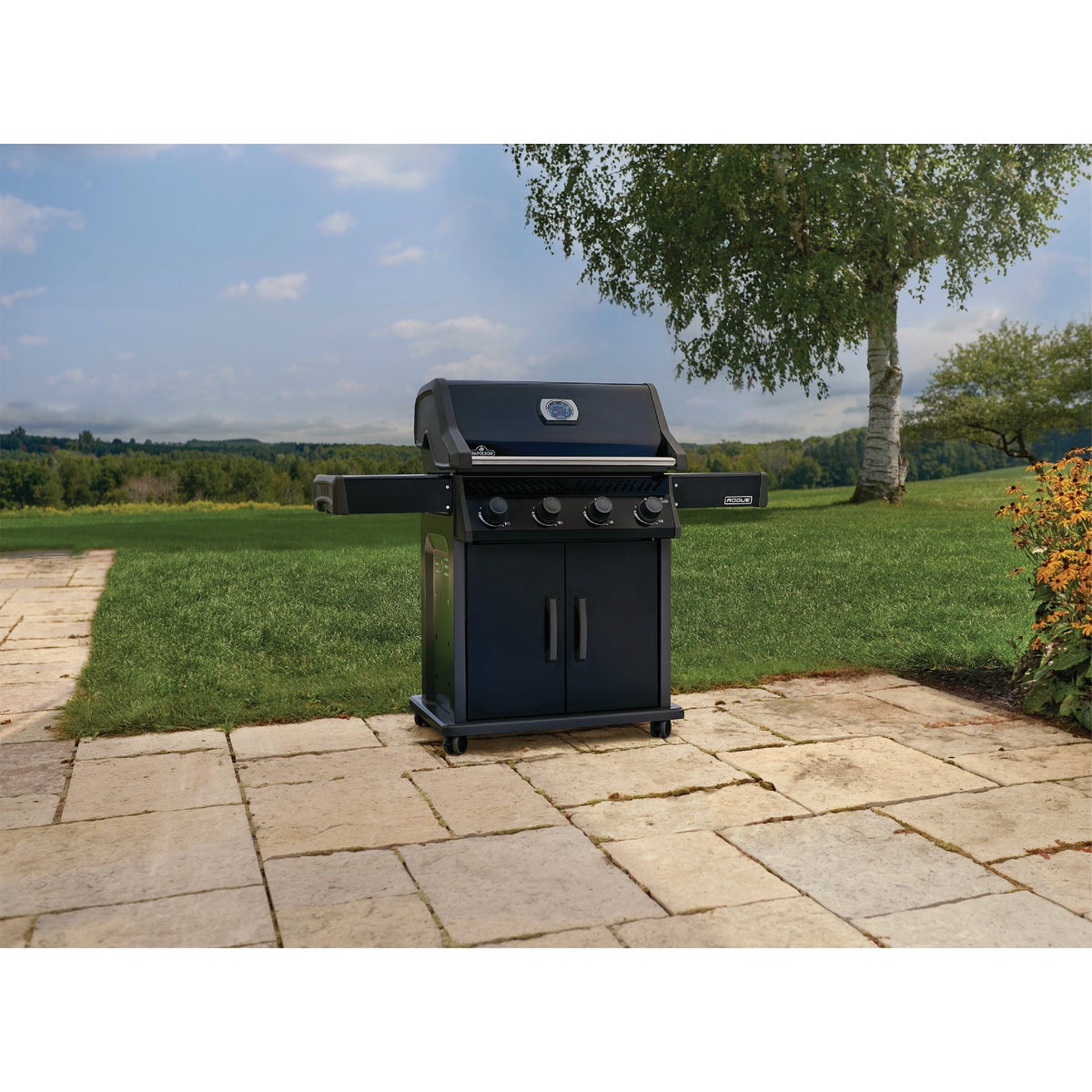 Napoleon Rogue 525 4-Burner Natural Gas with Stainless Steel Grids Grill, Black Image 2