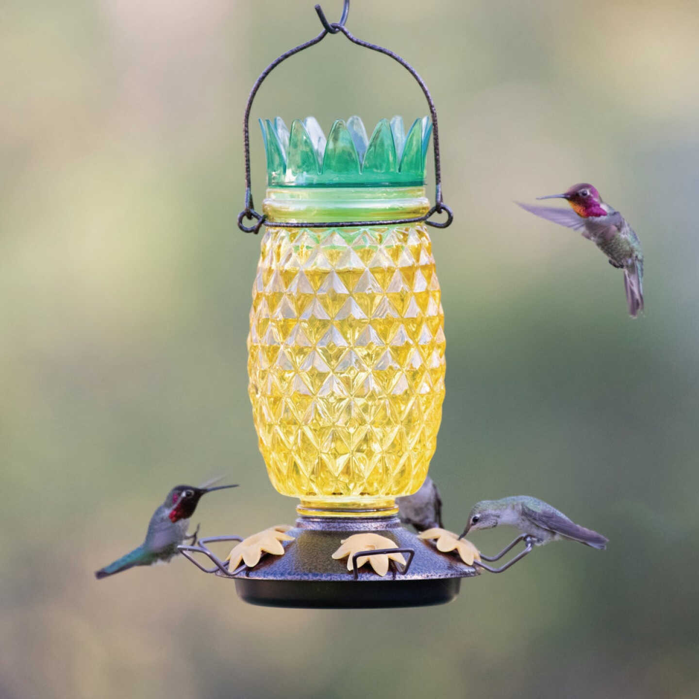 Perky Pet 28 Oz. Glass Top Fill Pineapple Hummingbird Feeder Image 2