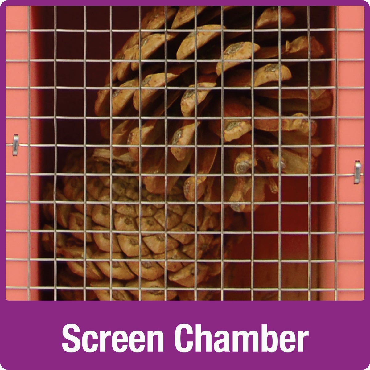 Nature's Way Dual-Chamber Insect House Image 4