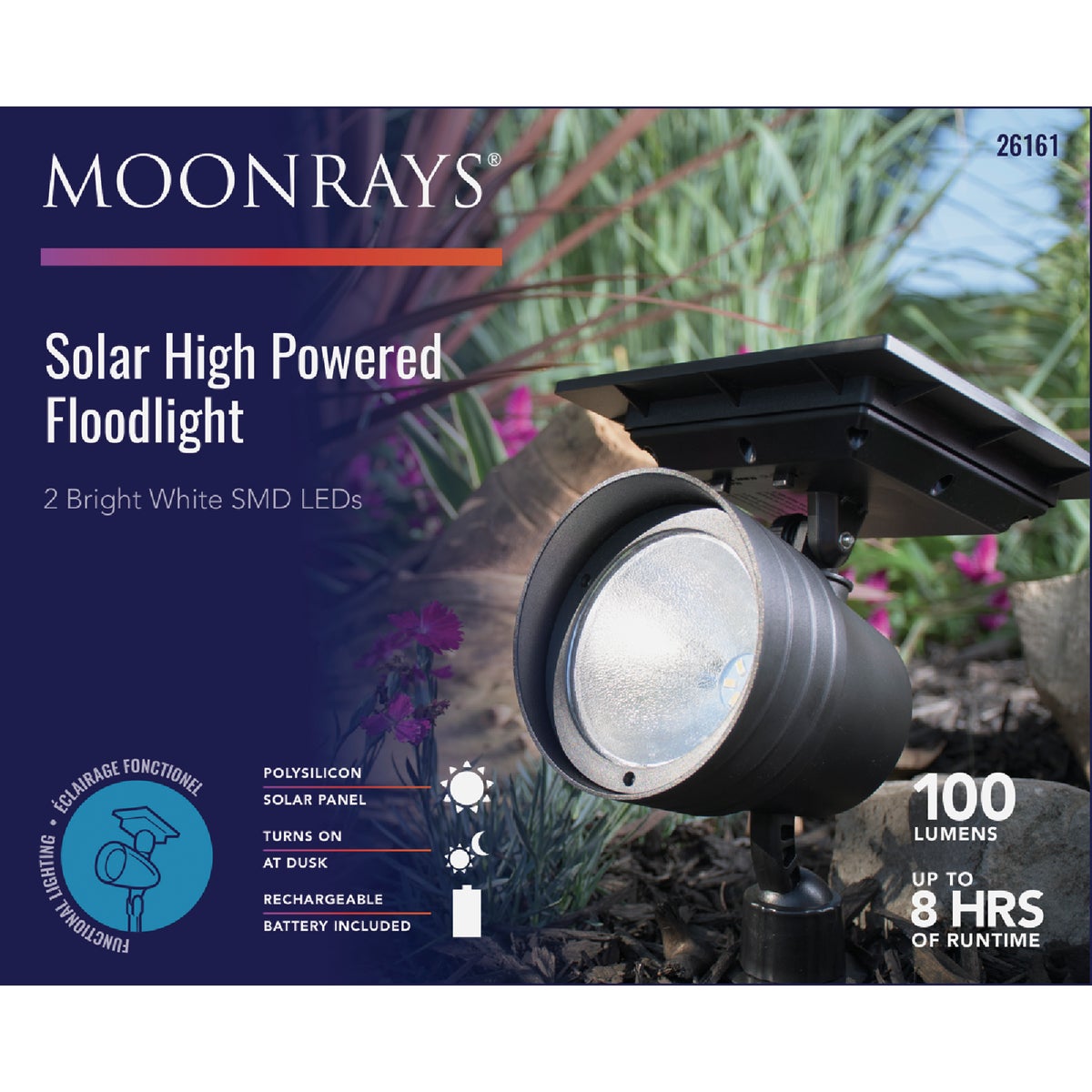 Flood Lights