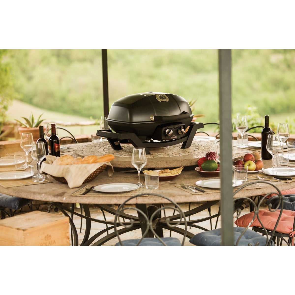 Napoleon TravelQ PRO285 Portable Propane Gas Grill, Black Image 2