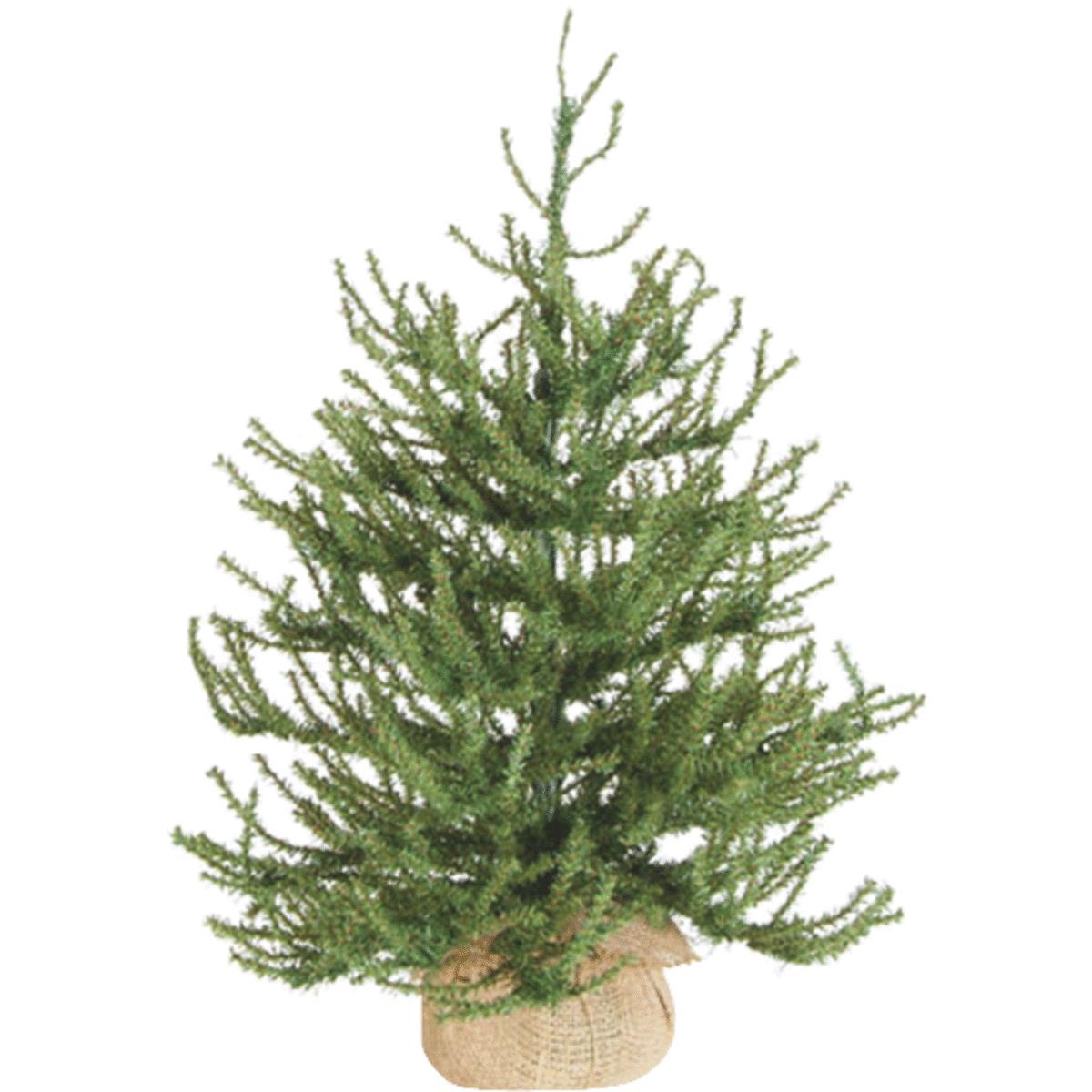 24" PISTOL PINE TREE