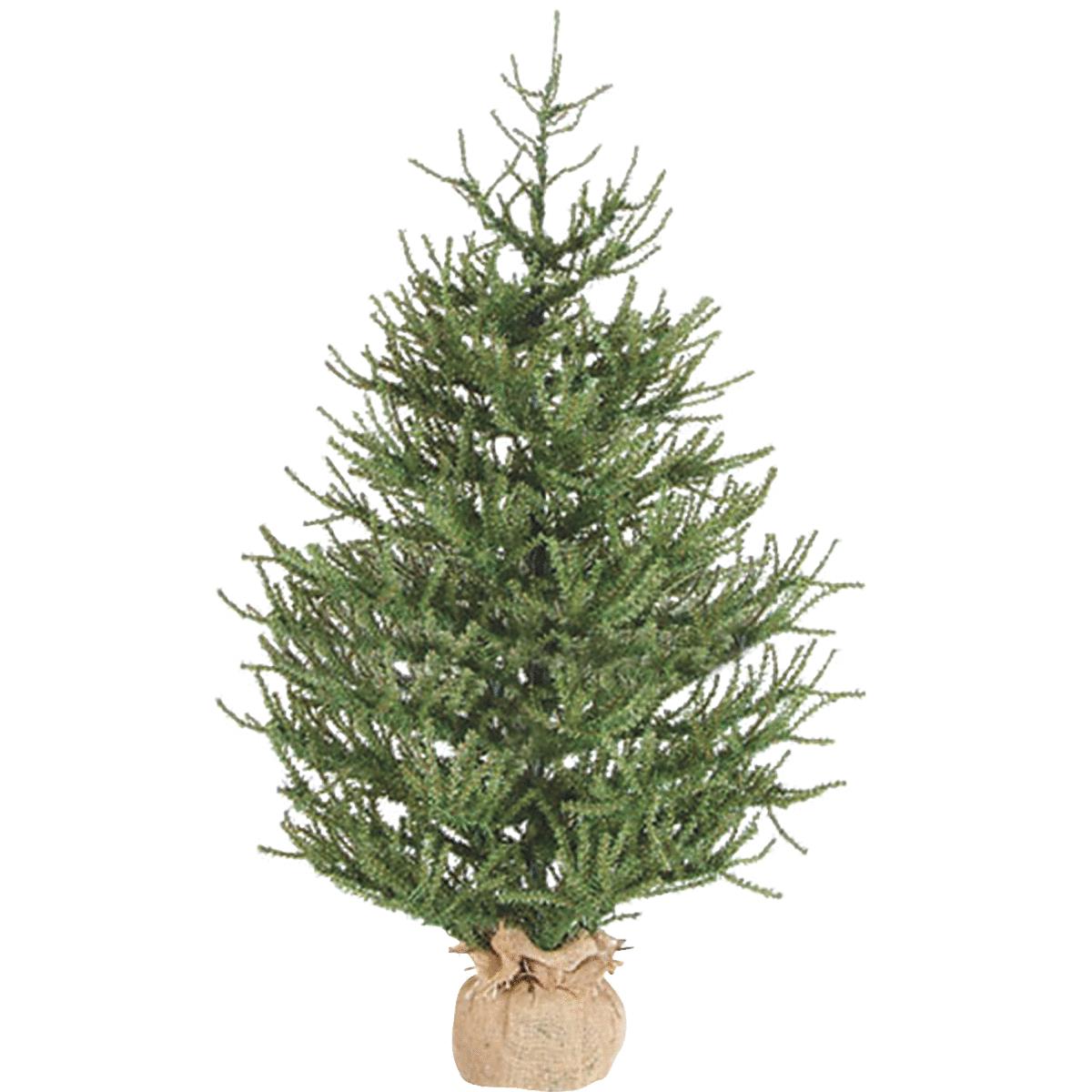 42" PISTOL PINE TREE