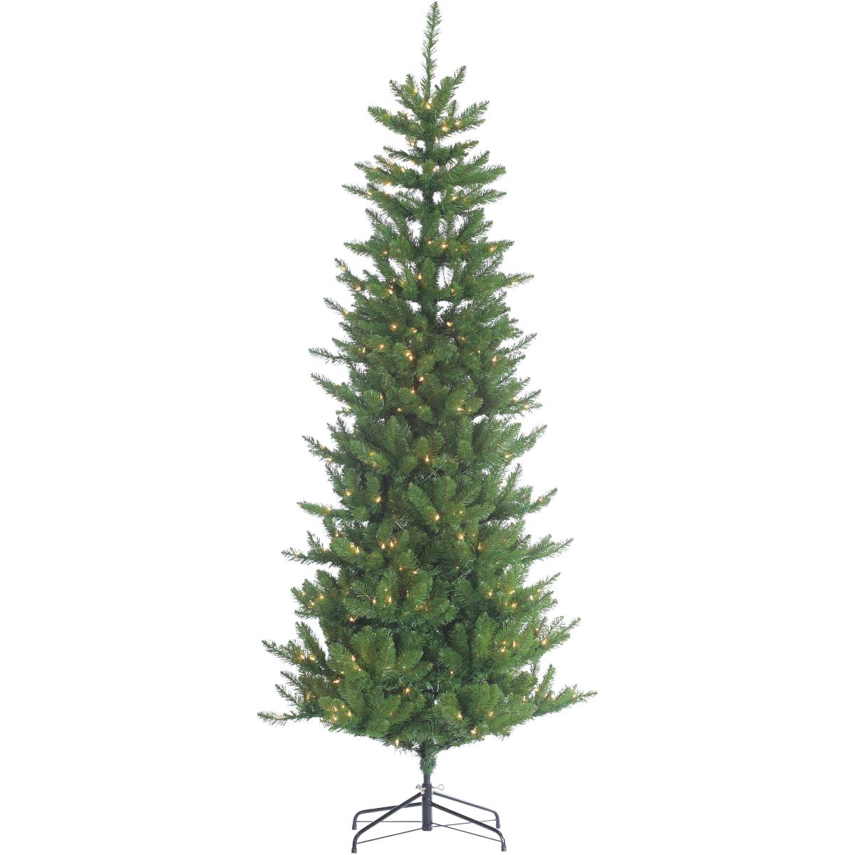 7.5' AUGUSTA PINE TREE
