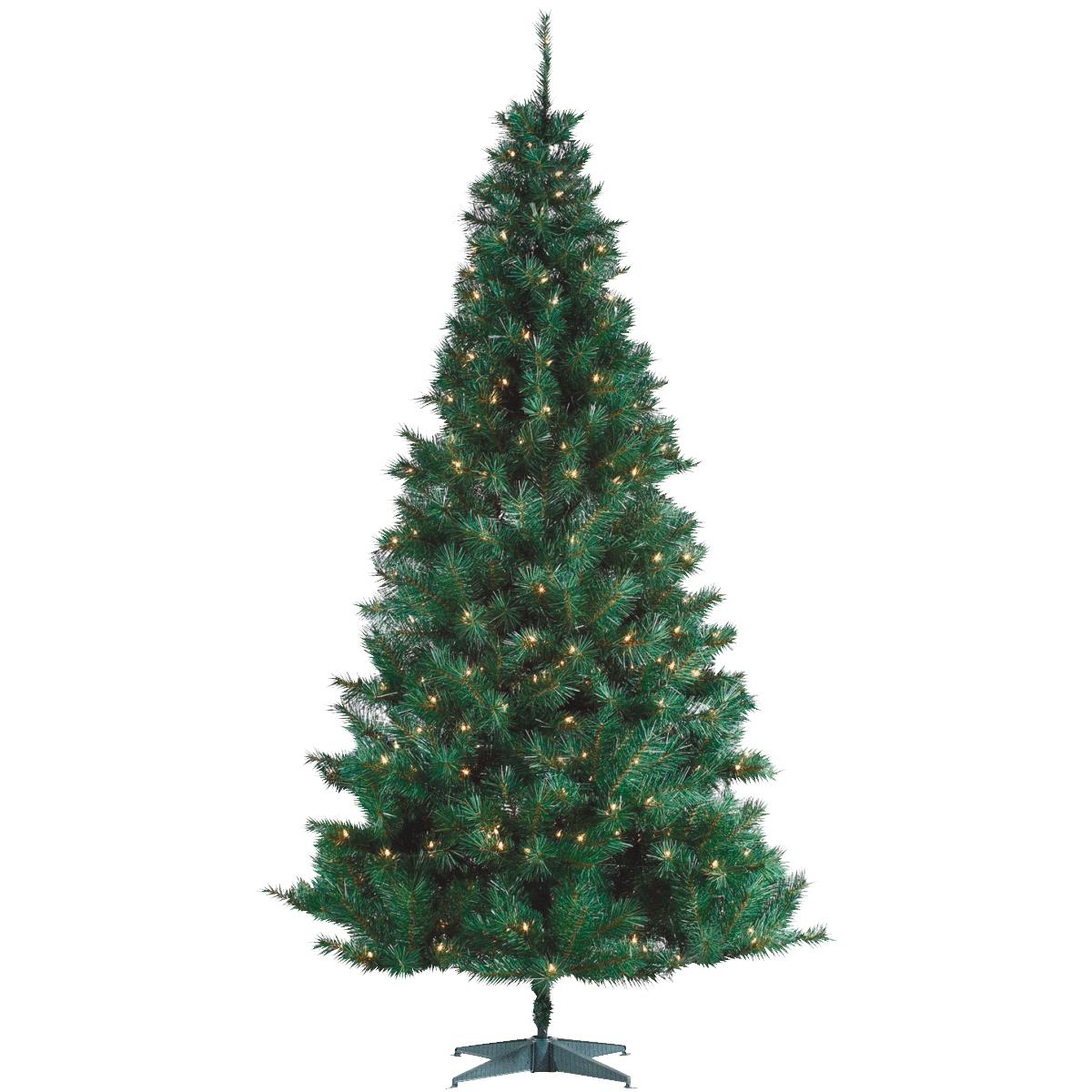 6.5'P/L SPENCR PINE TREE