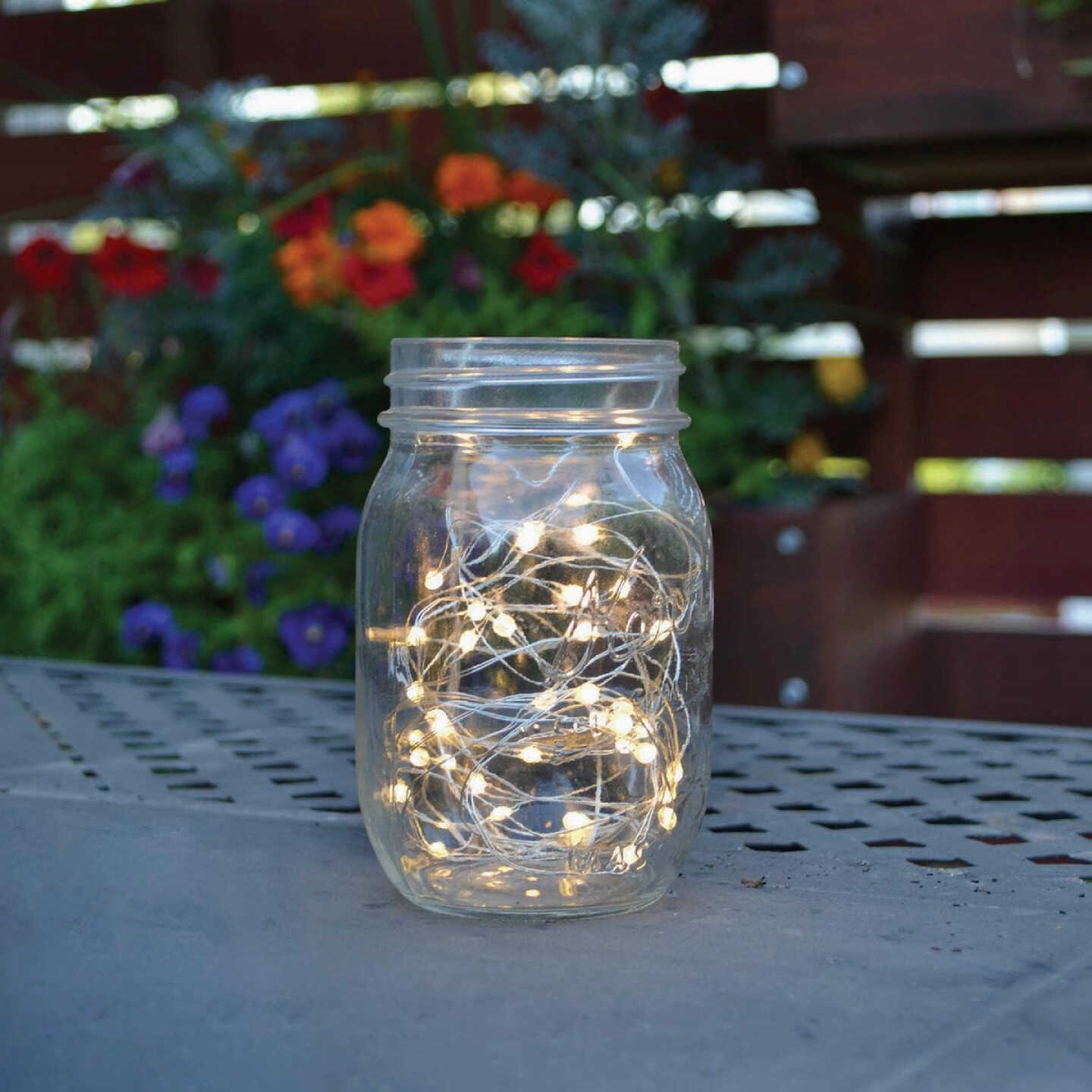 Holiday Bright Lights 50-Bulb Warm White Seed Micro LED Light Set with Silver Wire Image 2