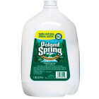 Poland Spring 1 Gal. Spring Water Image 1